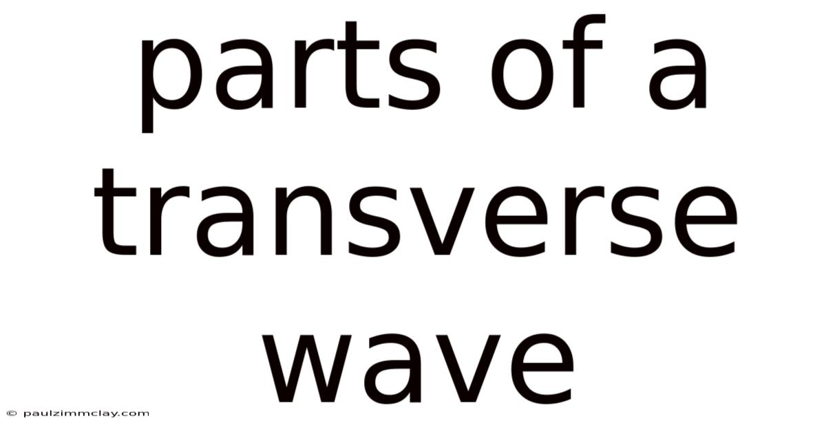 Parts Of A Transverse Wave
