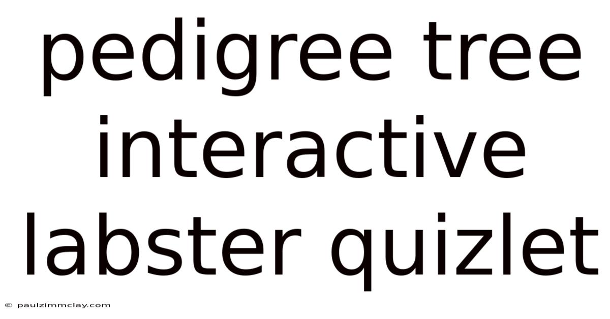 Pedigree Tree Interactive Labster Quizlet