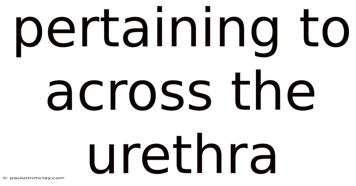 Pertaining To Across The Urethra