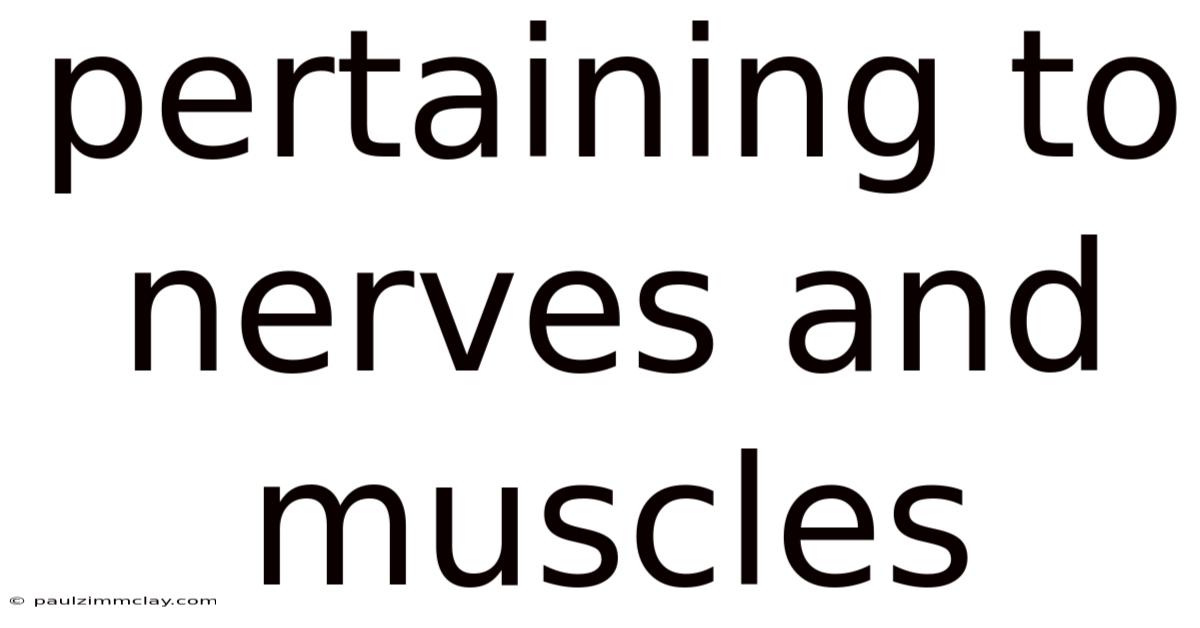 Pertaining To Nerves And Muscles