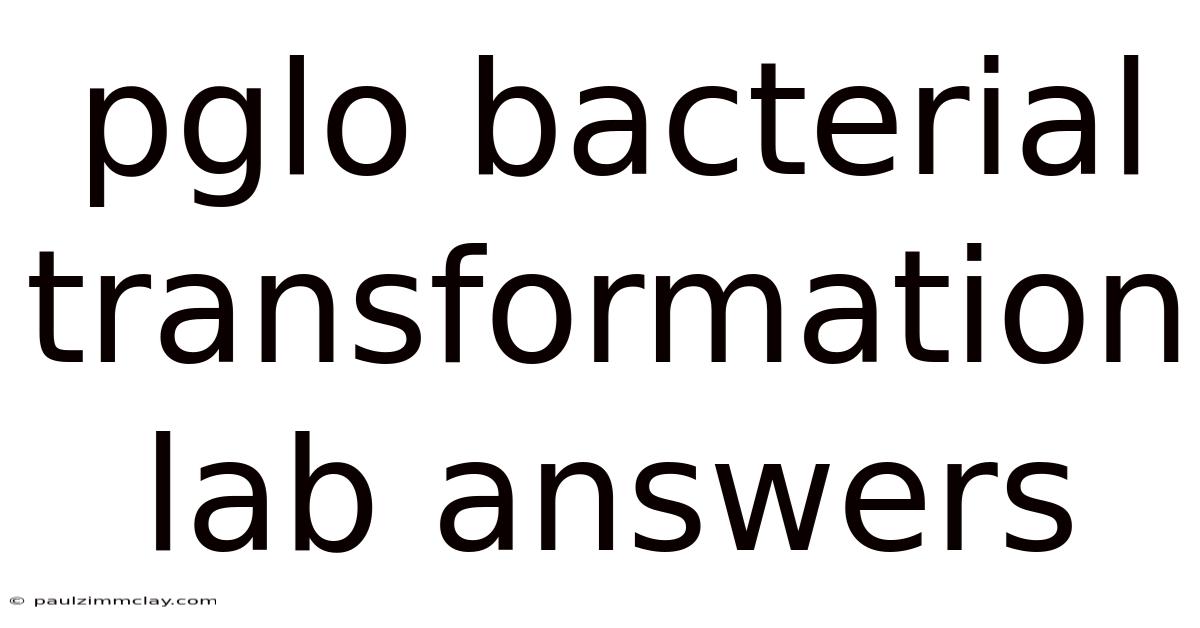 Pglo Bacterial Transformation Lab Answers