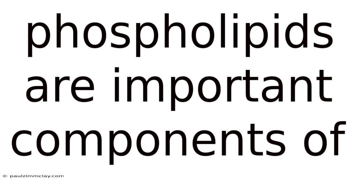 Phospholipids Are Important Components Of