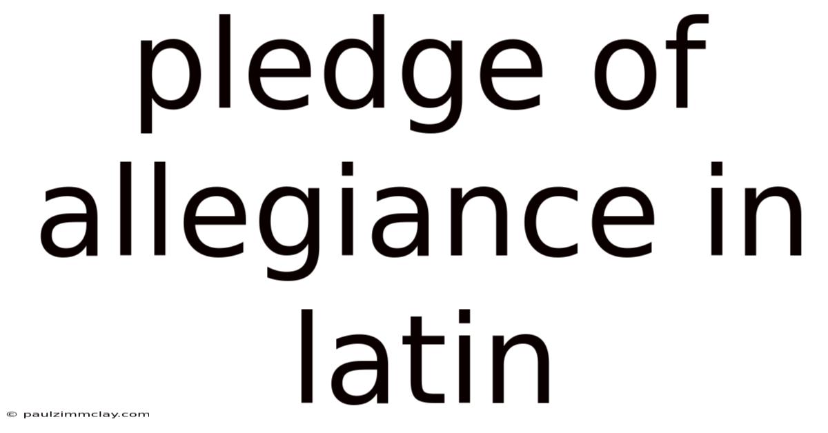 Pledge Of Allegiance In Latin