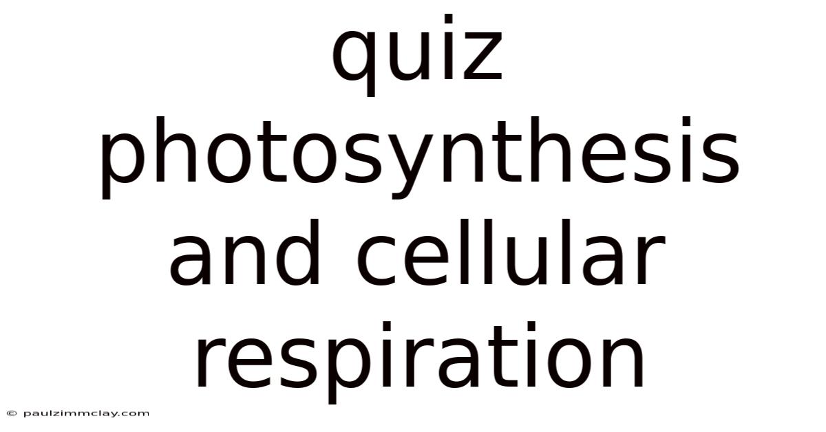 Quiz Photosynthesis And Cellular Respiration