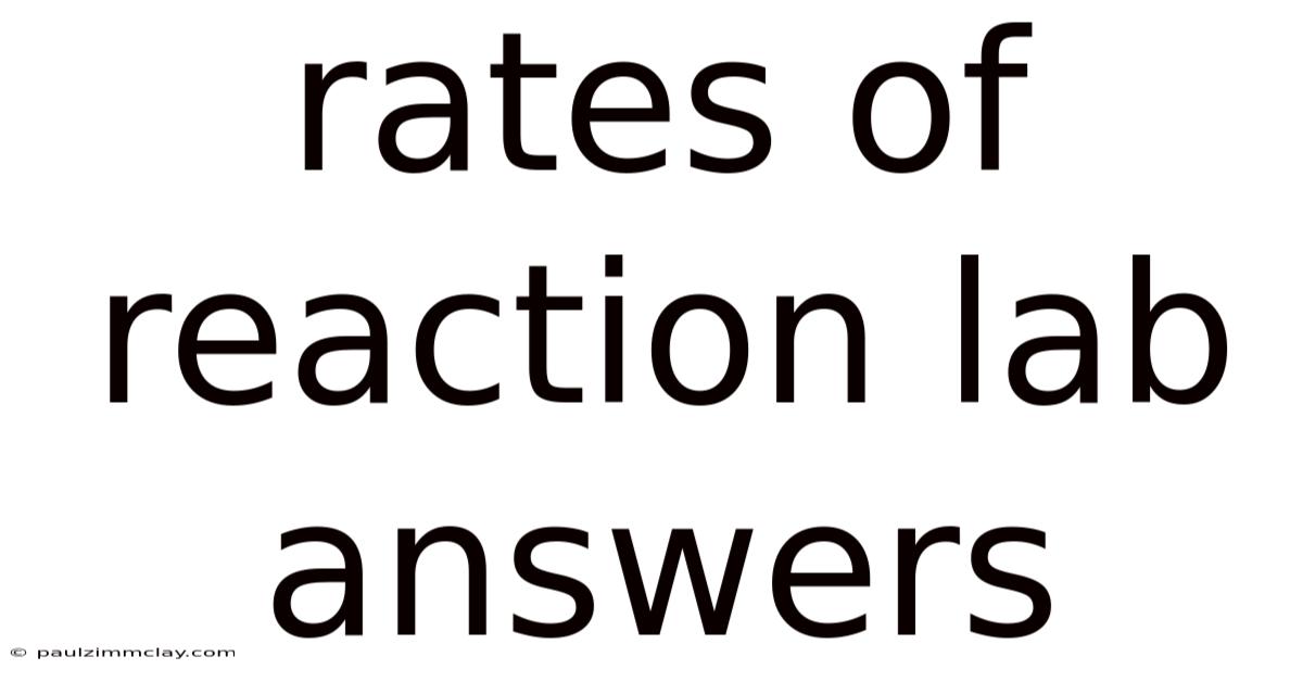 Rates Of Reaction Lab Answers