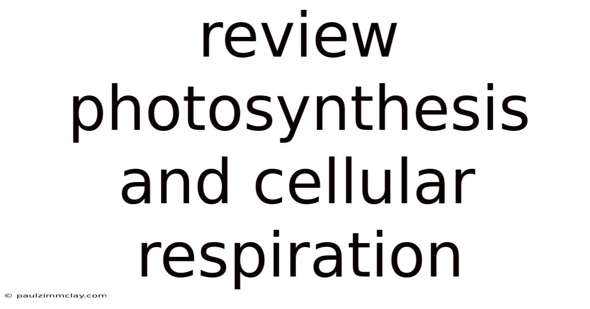 Review Photosynthesis And Cellular Respiration