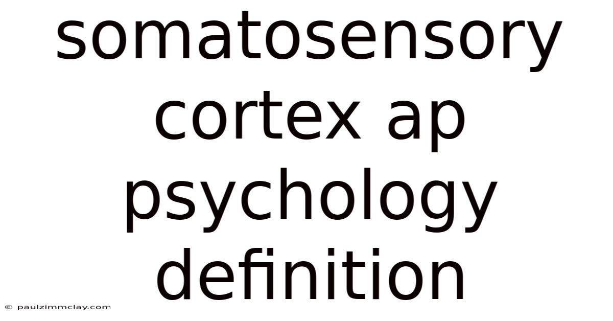 Somatosensory Cortex Ap Psychology Definition