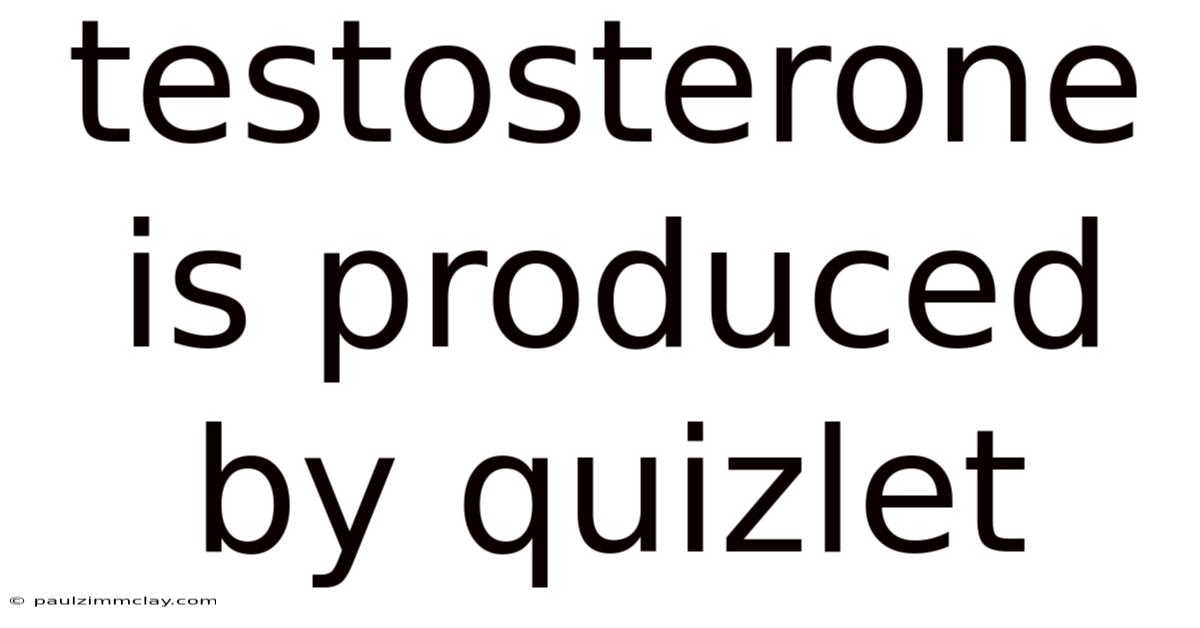 Testosterone Is Produced By Quizlet