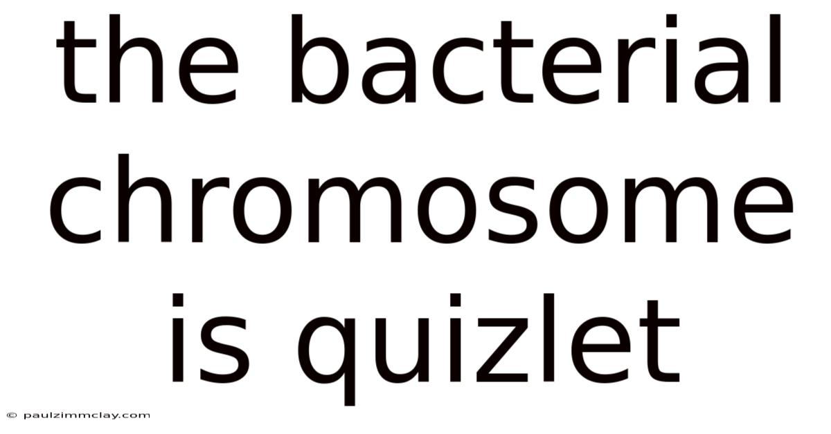 The Bacterial Chromosome Is Quizlet