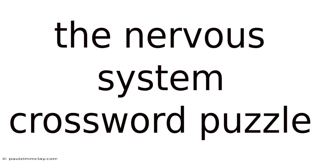 The Nervous System Crossword Puzzle