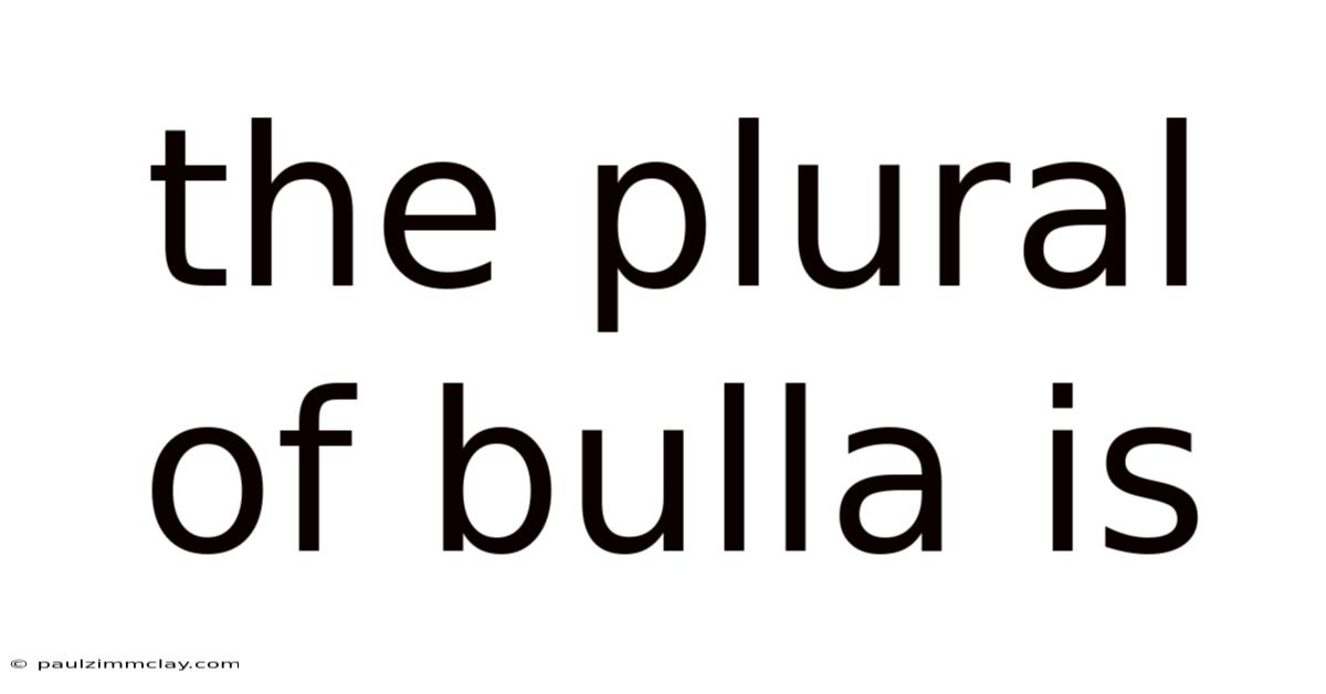 The Plural Of Bulla Is