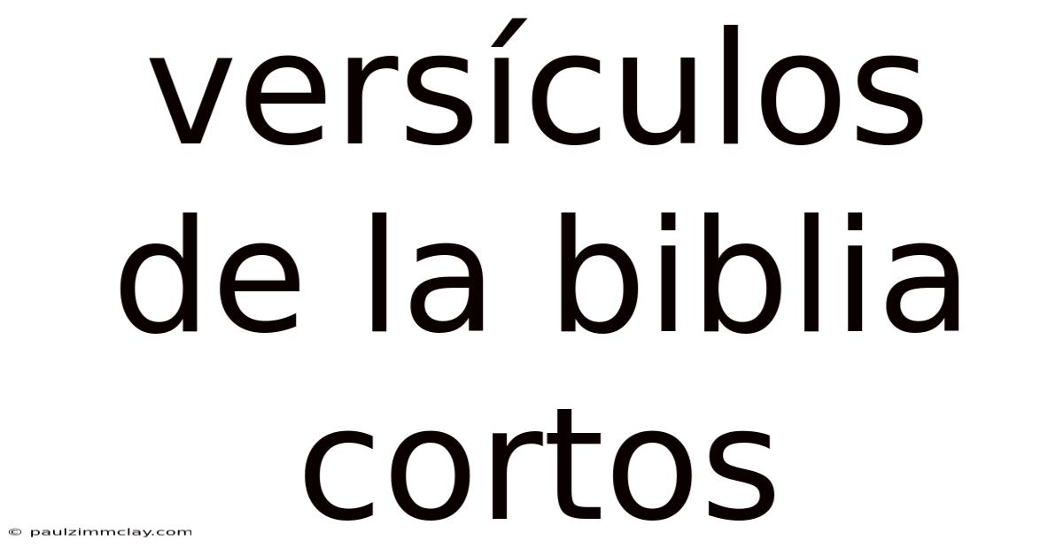 Versículos De La Biblia Cortos