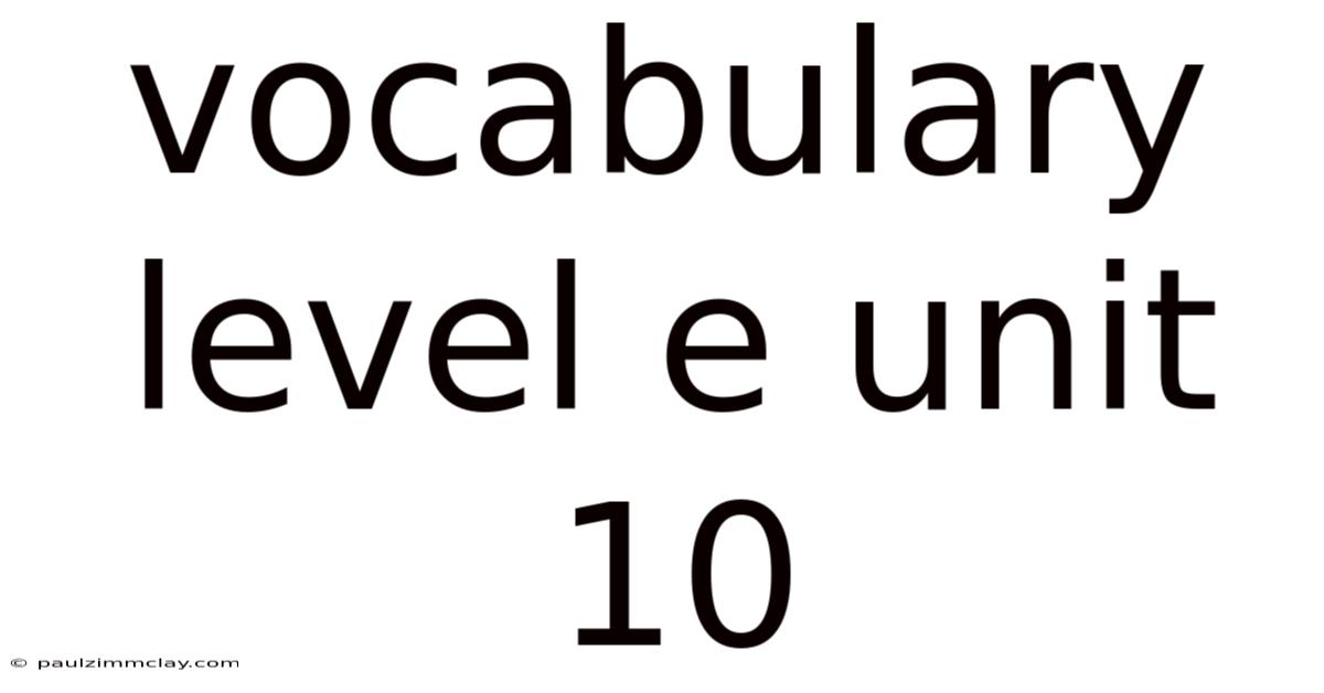 Vocabulary Level E Unit 10