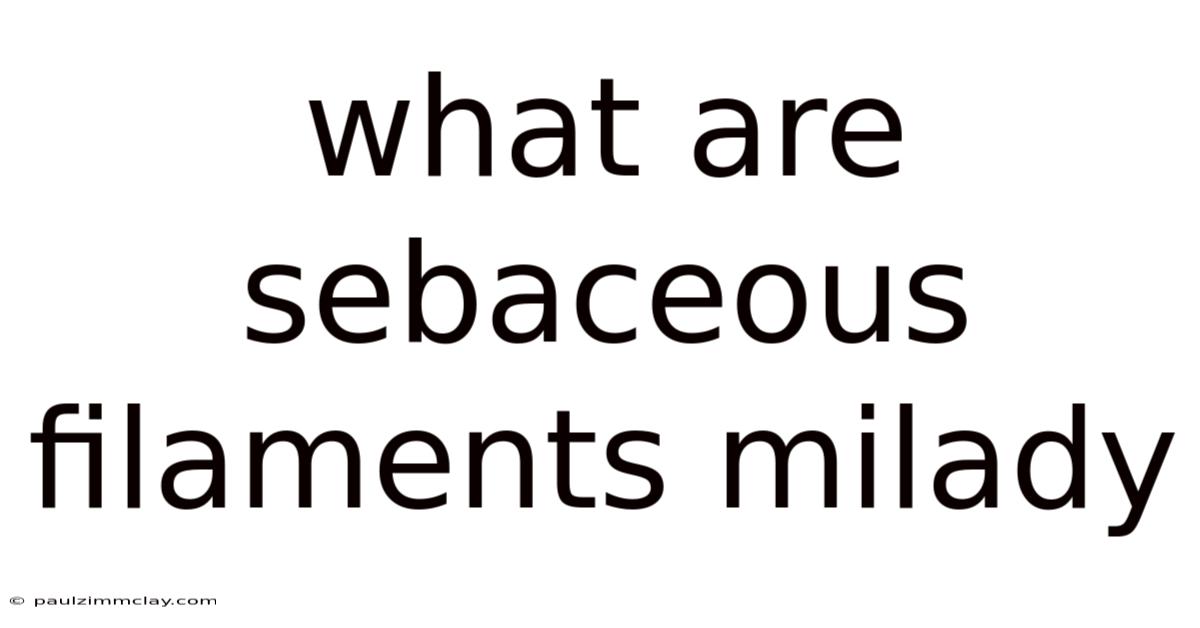What Are Sebaceous Filaments Milady