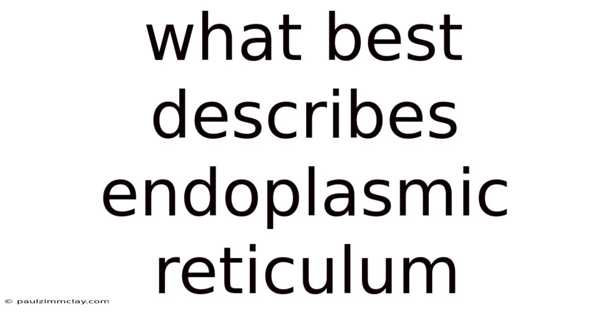 What Best Describes Endoplasmic Reticulum
