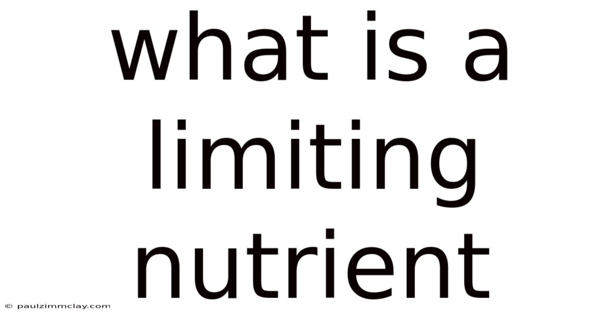 What Is A Limiting Nutrient