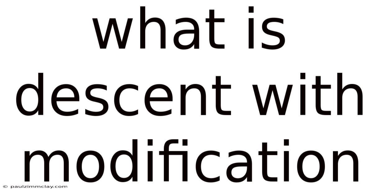 What Is Descent With Modification