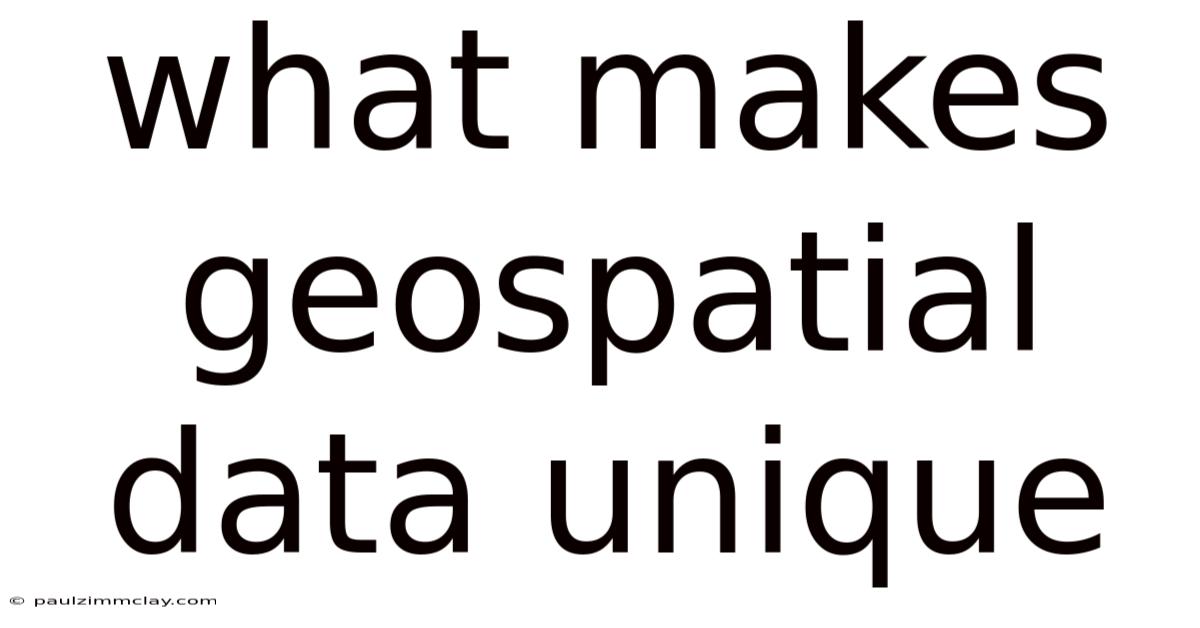 What Makes Geospatial Data Unique