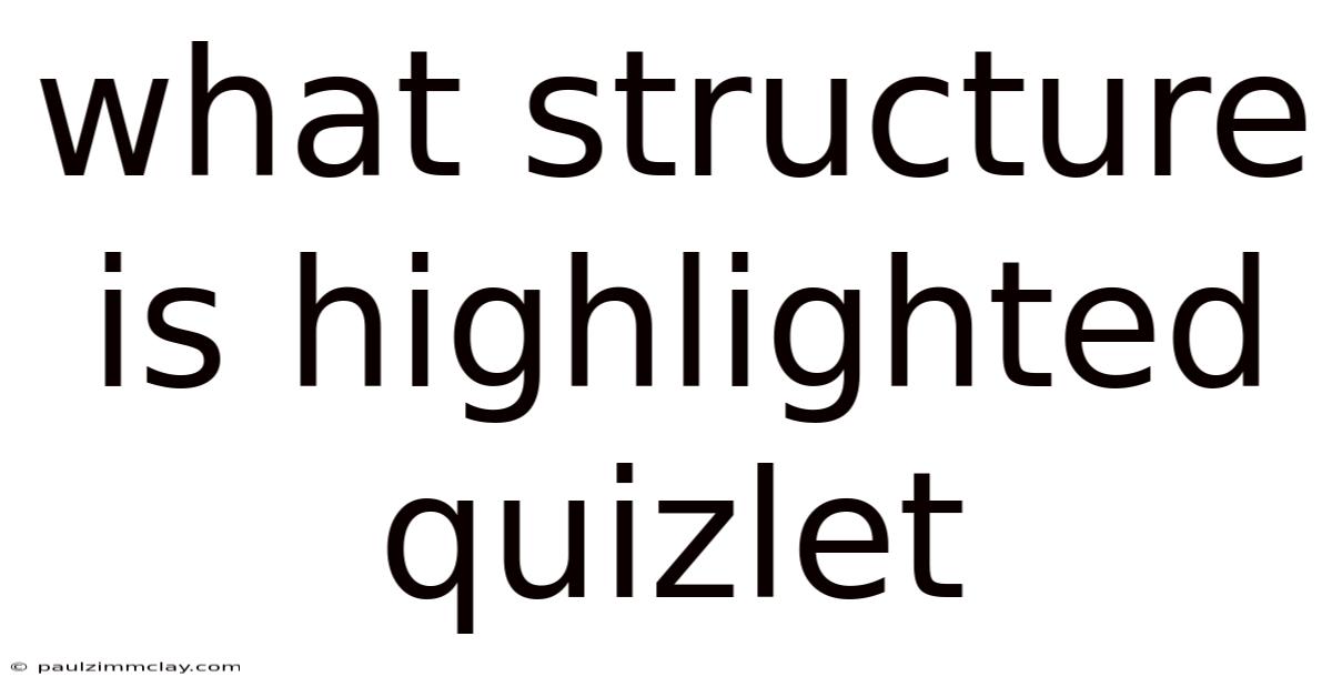 What Structure Is Highlighted Quizlet