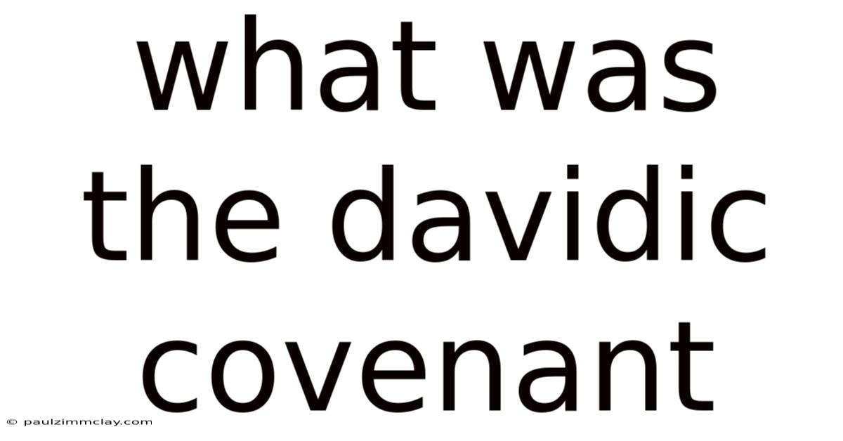 What Was The Davidic Covenant