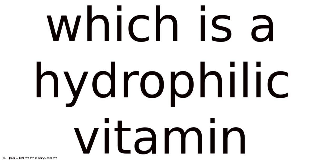 Which Is A Hydrophilic Vitamin