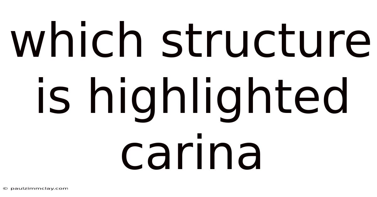Which Structure Is Highlighted Carina