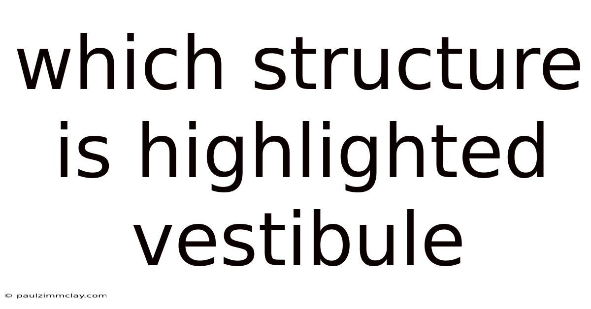 Which Structure Is Highlighted Vestibule
