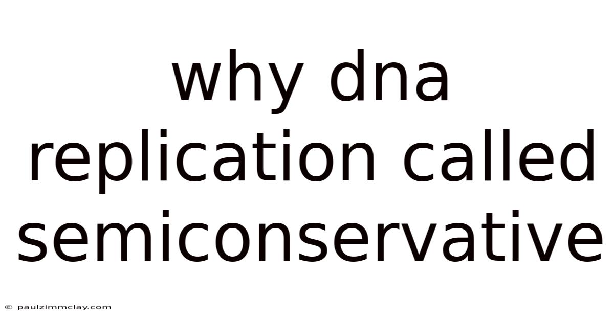 Why Dna Replication Called Semiconservative