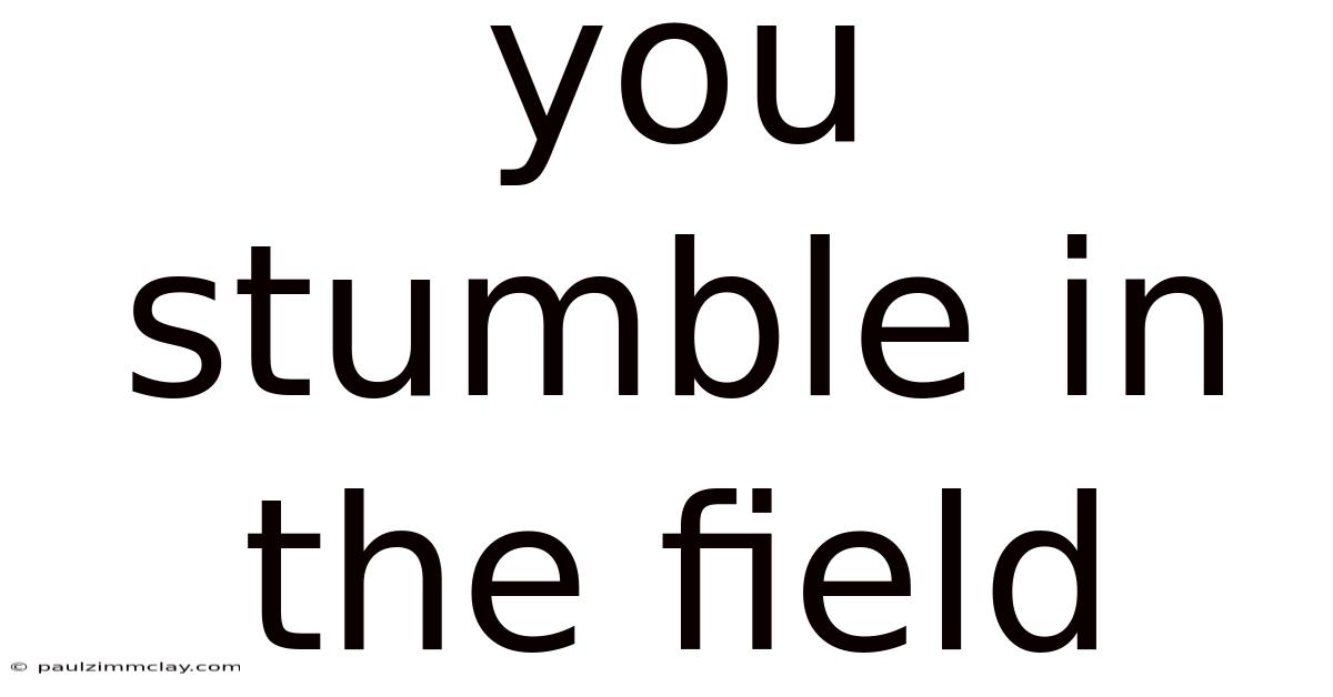 You Stumble In The Field